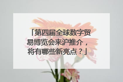 第四届全球数字贸易博览会来沪推介，将有哪些新亮点？