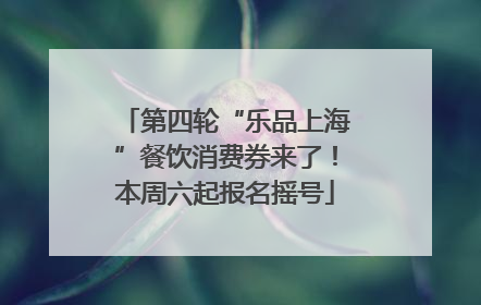 第四轮“乐品上海”餐饮消费券来了！本周六起报名摇号