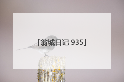 翁城日记 935