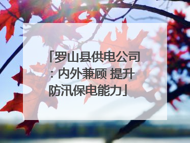 罗山县供电公司：内外兼顾 提升防汛保电能力