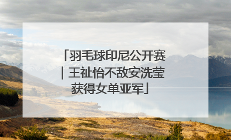 羽毛球印尼公开赛｜王祉怡不敌安洗莹 获得女单亚军