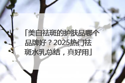 美白祛斑的护肤品哪个品牌好？2025热门祛斑水乳总结，真好用