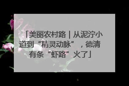 美丽农村路｜从泥泞小道到“精灵动脉”，德清有条“虾路”火了
