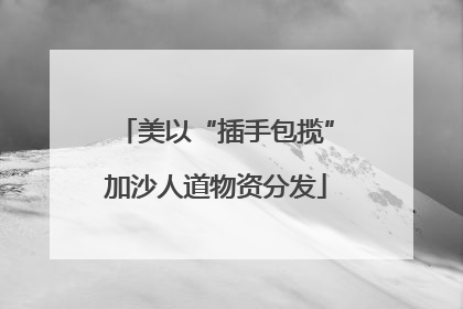 美以“插手包揽”加沙人道物资分发
