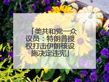美共和党一众议员：特朗普授权打击伊朗核设施决定违宪