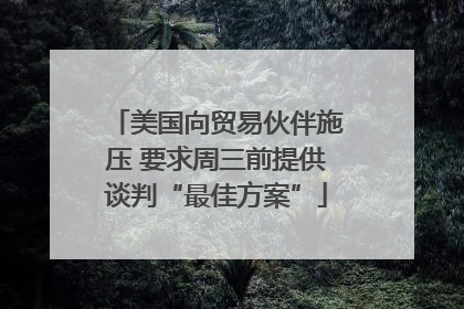 美国向贸易伙伴施压 要求周三前提供谈判“最佳方案”