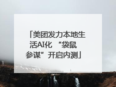 美团发力本地生活AI化 “袋鼠参谋”开启内测