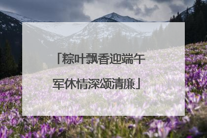粽叶飘香迎端午 军休情深颂清廉