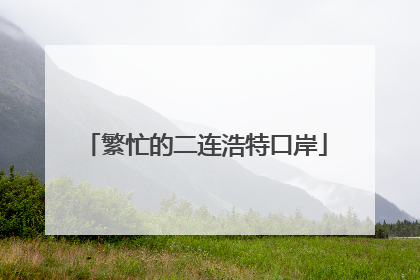 繁忙的二连浩特口岸