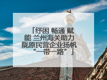 纾困 畅通 赋能 兰州海关助力陇原民营企业扬帆“一带一路”