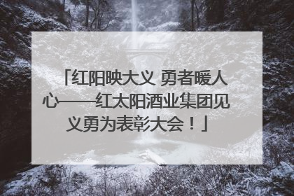 红阳映大义 勇者暖人心——红太阳酒业集团见义勇为表彰大会！