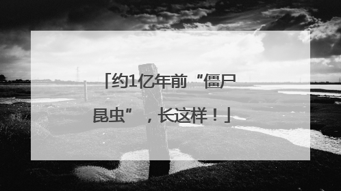 约1亿年前“僵尸昆虫”，长这样！