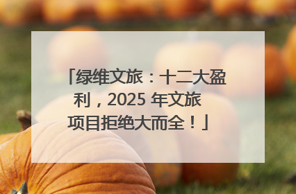 绿维文旅：十二大盈利，2025 年文旅项目拒绝大而全！