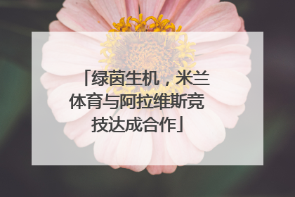 绿茵生机，米兰体育与阿拉维斯竞技达成合作