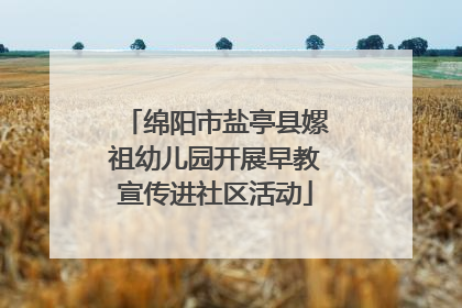 绵阳市盐亭县嫘祖幼儿园开展早教宣传进社区活动