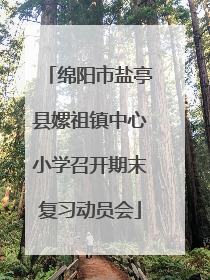 绵阳市盐亭县嫘祖镇中心小学召开期末复习动员会