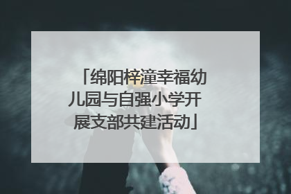 绵阳梓潼幸福幼儿园与自强小学开展支部共建活动