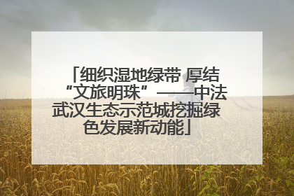 细织湿地绿带 厚结“文旅明珠”——中法武汉生态示范城挖掘绿色发展新动能