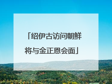 绍伊古访问朝鲜 将与金正恩会面