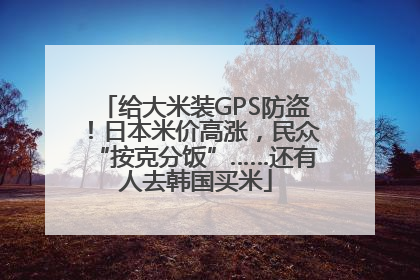 给大米装GPS防盗！日本米价高涨，民众“按克分饭”……还有人去韩国买米