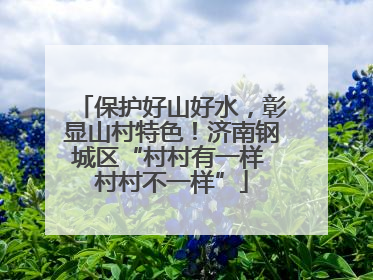 保护好山好水，彰显山村特色！济南钢城区“村村有一样 村村不一样”