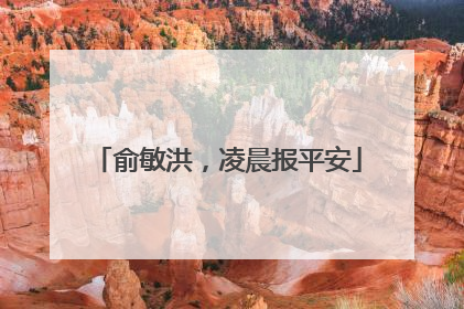 俞敏洪，凌晨报平安