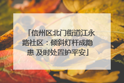 信州区北门街道江永路社区：倾斜灯杆成隐患 及时处置护平安