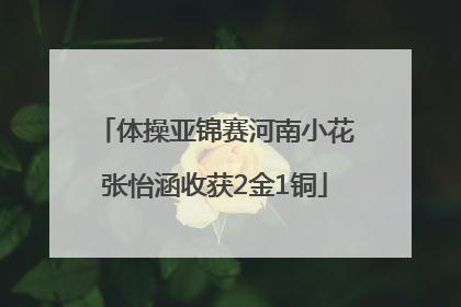 体操亚锦赛河南小花张怡涵收获2金1铜