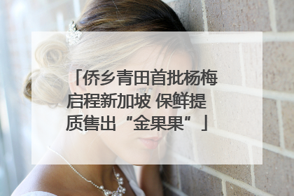 侨乡青田首批杨梅启程新加坡 保鲜提质售出“金果果”