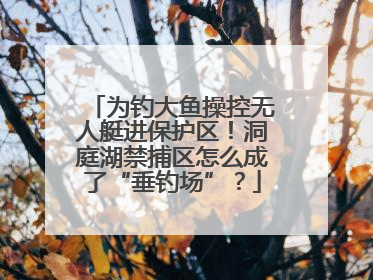 为钓大鱼操控无人艇进保护区！洞庭湖禁捕区怎么成了“垂钓场”？