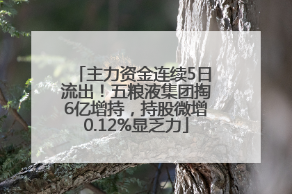 主力资金连续5日流出！五粮液集团掏6亿增持，持股微增0.12%显乏力