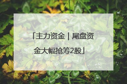 主力资金｜尾盘资金大幅抢筹2股