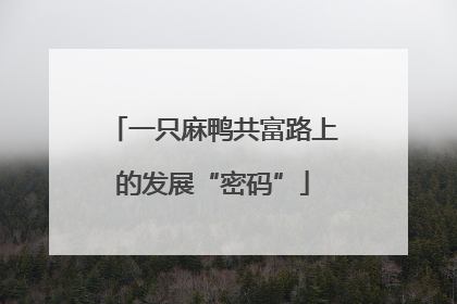 一只麻鸭共富路上的发展“密码”