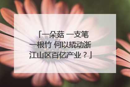 一朵菇 一支笔 一根竹 何以撬动浙江山区百亿产业？
