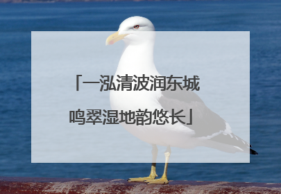 一泓清波润东城 鸣翠湿地韵悠长