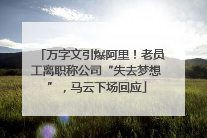 万字文引爆阿里！老员工离职称公司“失去梦想”，马云下场回应