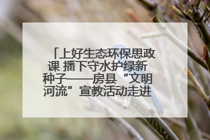 上好生态环保思政课 播下守水护绿新种子——房县“文明河流”宣教活动走进八一希望小学