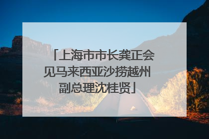 上海市市长龚正会见马来西亚沙捞越州副总理沈桂贤