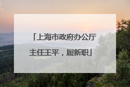 上海市政府办公厅主任王平，履新职