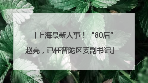 上海最新人事！“80后”赵亮，已任普陀区委副书记