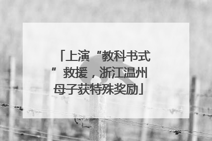 上演“教科书式”救援，浙江温州母子获特殊奖励