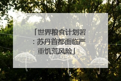 世界粮食计划署：苏丹首都面临严重饥荒风险