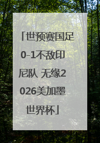 世预赛国足0-1不敌印尼队 无缘2026美加墨世界杯