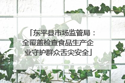 东平县市场监管局：全覆盖检查食品生产企业守护群众舌尖安全