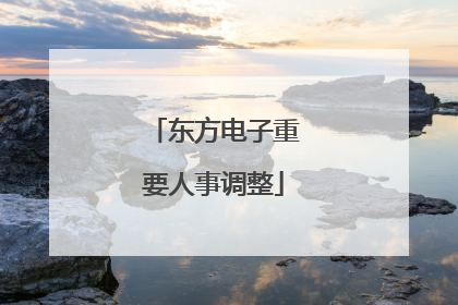 东方电子重要人事调整