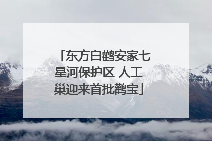 东方白鹳安家七星河保护区 人工巢迎来首批鹳宝
