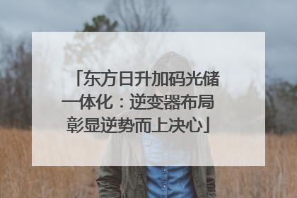 东方日升加码光储一体化：逆变器布局彰显逆势而上决心