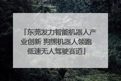 东莞发力智能机器人产业创新 狗熊机器人领跑低速无人驾驶赛道