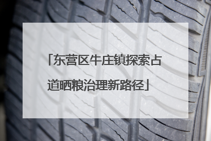 东营区牛庄镇探索占道晒粮治理新路径