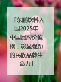 东鹏饮料入围2025年中国品牌价值榜，彰显强劲的民族品牌生命力
